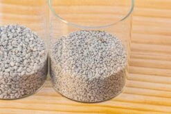 Grey White Horticultural Lava Rock Volcanic Rock 38 Grey White Horticultural Lava Rock Volcanic Rock -Glass Plant Store IMG 6011