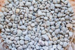 Glass Tank With Lid Grow Light DIY Set For Moss And Flytrap, Sundew -Glass Plant Store IMG 6022