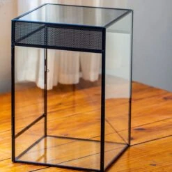 8x8x12 Inches Large Handmade Glass Geometric Terrarium With Side Vent, For Large Insects 34 8x8x12 Inches Large Handmade Glass Geometric Terrarium With Side Vent, For Large Insects -Glass Plant Store IMG 6032 2