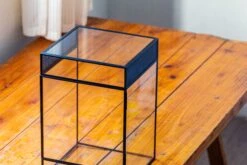 8x8x12 Inches Large Handmade Glass Geometric Terrarium With Side Vent, For Large Insects 35 8x8x12 Inches Large Handmade Glass Geometric Terrarium With Side Vent, For Large Insects -Glass Plant Store IMG 6035
