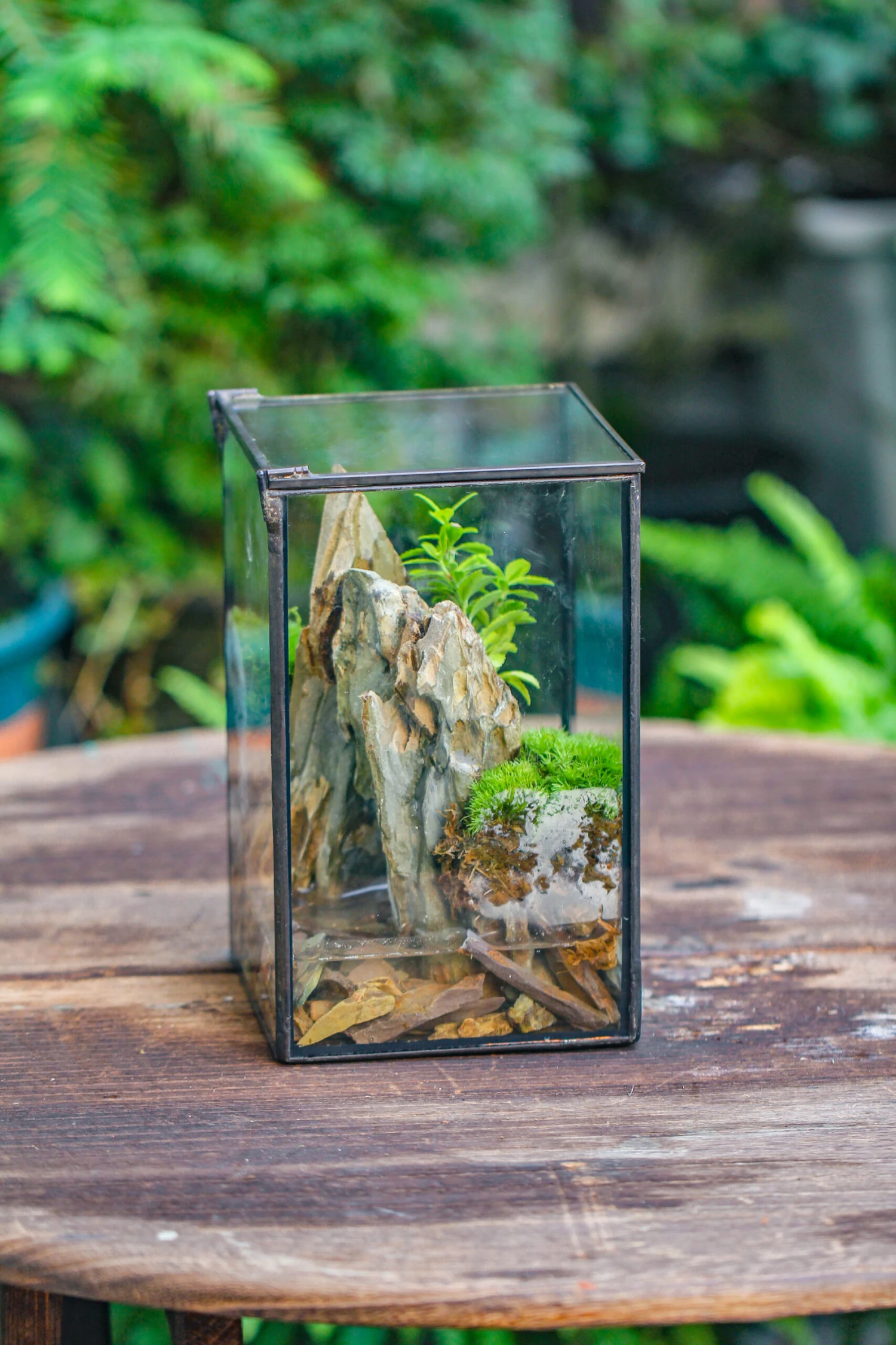 5-12cm Natural Ohko Dragon Stone Rock For Terrarium, Aquarium Bonsai Landscape, 500g 7 5-12cm Natural Ohko Dragon Stone Rock For Terrarium, Aquarium Bonsai Landscape, 500g - Image 7