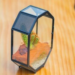 Mini 5x7 Inches Octagon Shape Glass Geometric Terrarium Enclosure With Side Vent For Small Insect, Jumping Spider -Glass Plant Store IMG 6193 3