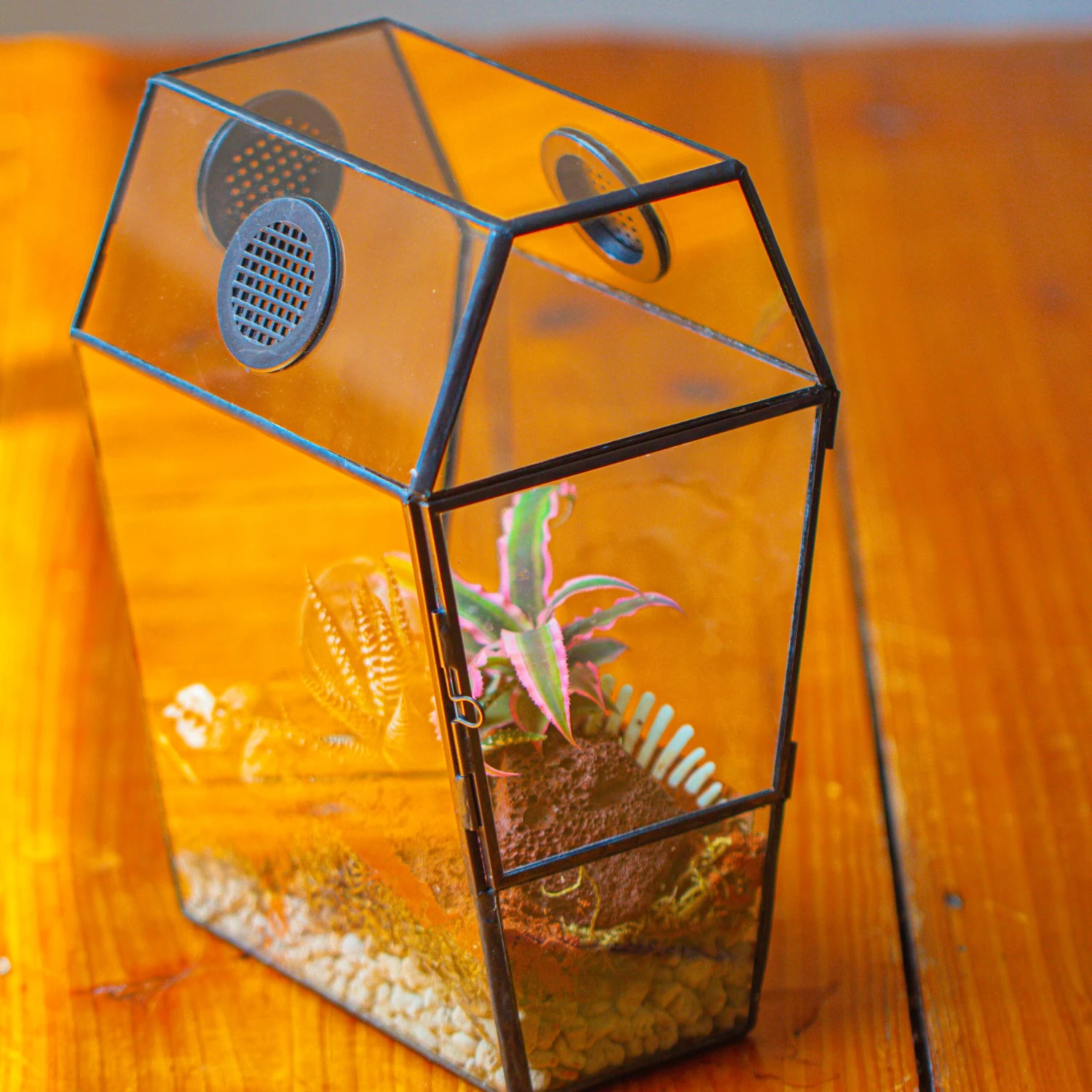 Coffin-Shaped Tin Glass Terrarium Enclosure, Gothic Style, For Jumping Spider, Insects, Snails 3 Coffin-Shaped Tin Glass Terrarium Enclosure, Gothic Style, For Jumping Spider, Insects, Snails - Image 3
