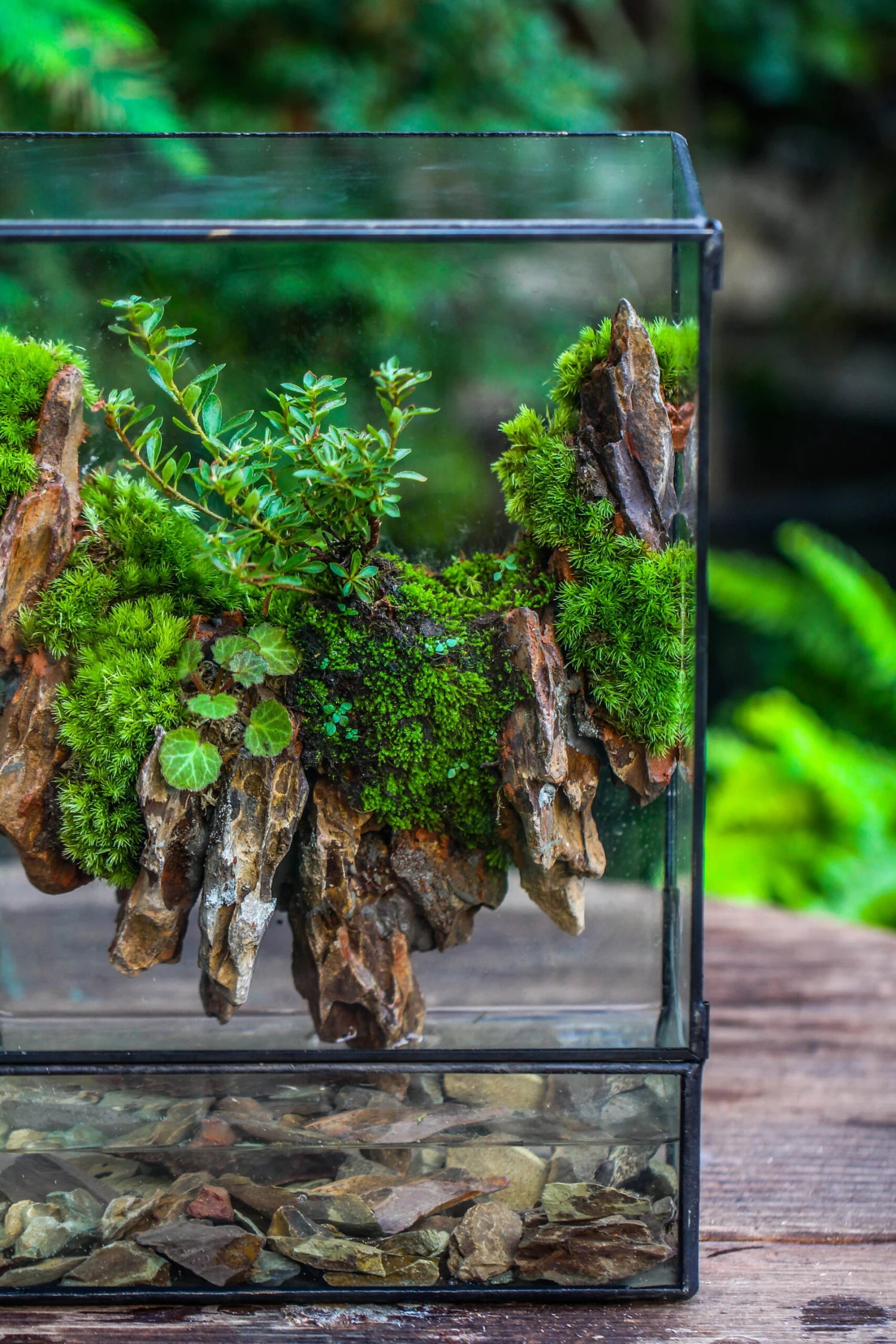 5-12cm Natural Ohko Dragon Stone Rock For Terrarium, Aquarium Bonsai Landscape, 500g 8 5-12cm Natural Ohko Dragon Stone Rock For Terrarium, Aquarium Bonsai Landscape, 500g - Image 8