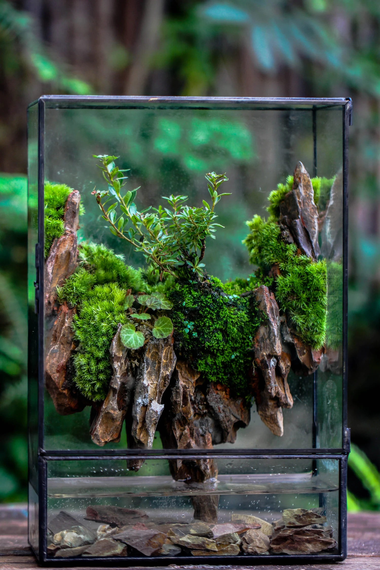 Close Geometric Glass Tin Terrarium , Watertight, 8x12" Container For Moss Wall, Fern, Landscape Waterpond, 8x12", No Plants Customizable 12 Close Geometric Glass Tin Terrarium , Watertight, 8x12" Container For Moss Wall, Fern, Landscape Waterpond, 8x12", No Plants Customizable - Image 12