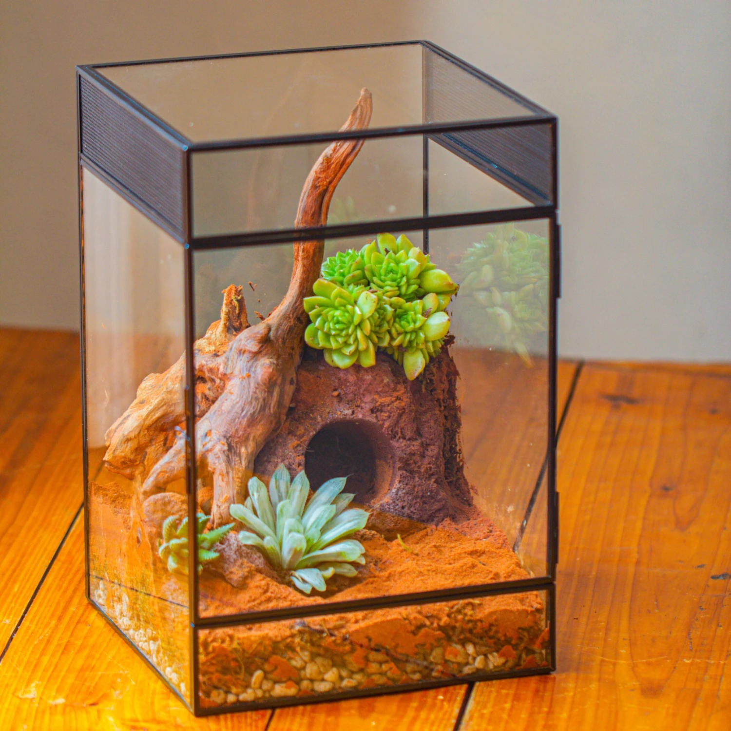 8x8x12 Inches Large Handmade Glass Geometric Terrarium With Side Vent, For Large Insects 5 8x8x12 Inches Large Handmade Glass Geometric Terrarium With Side Vent, For Large Insects - Image 5