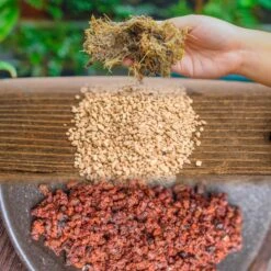 Basic Moss Terrarium Planting KIT, Suitable For Terrarium, Moss, Fern, Orchid, Begonia, Small Tropical