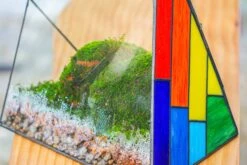 Grey White Horticultural Lava Rock Volcanic Rock 23 Grey White Horticultural Lava Rock Volcanic Rock -Glass Plant Store IMG 6380