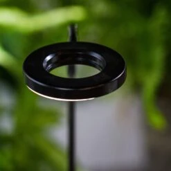 NCYP Customizable Tabletop Natural Wood Round Board LED Grow Display Light Indoor 10W For Terrarium Succulent Fern Bonsai Moss -30cm -Glass Plant Store IMG 6481