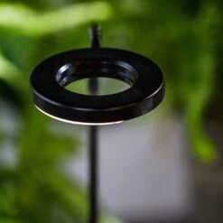 NCYP Customizable Tabletop Natural Wood Round Board LED Grow Display Light Indoor 10W For Terrarium Succulent Fern Bonsai Moss -40cm 15 NCYP Customizable Tabletop Natural Wood Round Board LED Grow Display Light Indoor 10W For Terrarium Succulent Fern Bonsai Moss -40cm -Glass Plant Store IMG 6481 7946bd27 ef78 4883 a406 770410369fc7