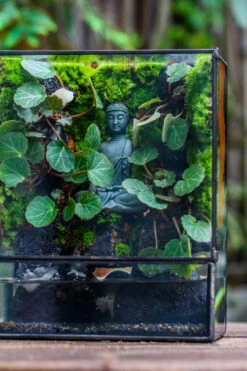 Close Geometric Glass Tin Terrarium , Watertight, 8x10" Container For Moss Wall, Fern, Landscape Waterpond, No Plants, Customizable -Glass Plant Store IMG 6581