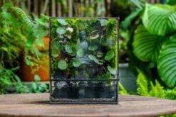 Close Geometric Glass Tin Terrarium , Watertight, 8x10" Container For Moss Wall, Fern, Landscape Waterpond, No Plants, Customizable -Glass Plant Store IMG 6585