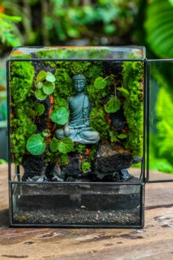Close Geometric Glass Tin Terrarium , Watertight, 8x10" Container For Moss Wall, Fern, Landscape Waterpond, No Plants, Customizable -Glass Plant Store IMG 6587