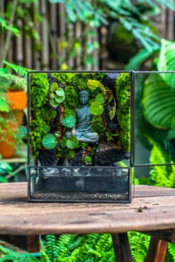 Close Geometric Glass Tin Terrarium , Watertight, 8x10" Container For Moss Wall, Fern, Landscape Waterpond, No Plants, Customizable -Glass Plant Store IMG 6588