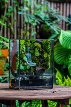 Close Geometric Glass Tin Terrarium , Watertight, 8x10" Container For Moss Wall, Fern, Landscape Waterpond, No Plants, Customizable -Glass Plant Store IMG 6593