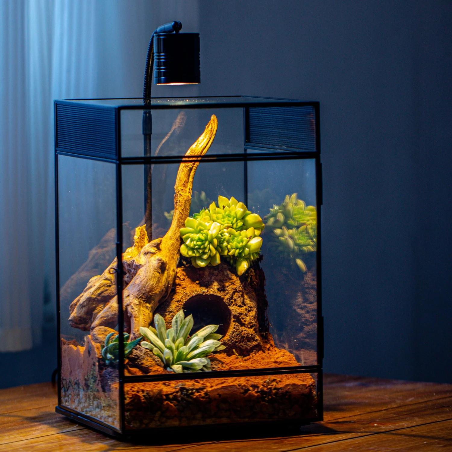 8x8x12 Inches Large Handmade Glass Geometric Terrarium With Side Vent, For Large Insects 3 8x8x12 Inches Large Handmade Glass Geometric Terrarium With Side Vent, For Large Insects - Image 3