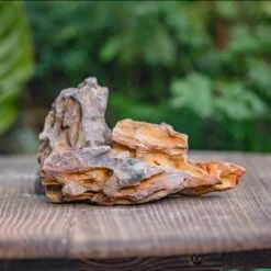 2-6" / 5-15cm Cutted Flat Bottom Natural Ohko Dragon Stone Rock For Terrarium, Aquarium Bonsai Landscape, 2kg/4.4lb, With DIY Tools 21 2-6" / 5-15cm Cutted Flat Bottom Natural Ohko Dragon Stone Rock For Terrarium, Aquarium Bonsai Landscape, 2kg/4.4lb, With DIY Tools -Glass Plant Store IMG 6735