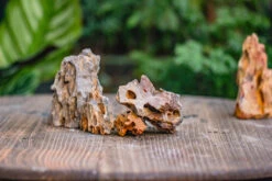 2-6" / 5-15cm Cutted Flat Bottom Natural Ohko Dragon Stone Rock For Terrarium, Aquarium Bonsai Landscape, 2kg/4.4lb, With DIY Tools 23 2-6" / 5-15cm Cutted Flat Bottom Natural Ohko Dragon Stone Rock For Terrarium, Aquarium Bonsai Landscape, 2kg/4.4lb, With DIY Tools -Glass Plant Store IMG 6737