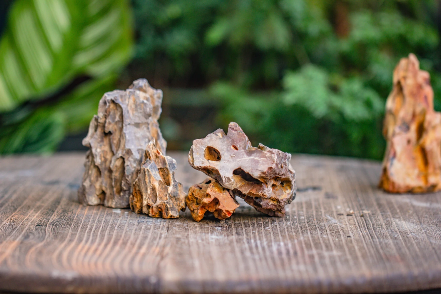 2-6" / 5-15cm Cutted Flat Bottom Natural Ohko Dragon Stone Rock For Terrarium, Aquarium Bonsai Landscape, 2kg/4.4lb, With DIY Tools 6 2-6" / 5-15cm Cutted Flat Bottom Natural Ohko Dragon Stone Rock For Terrarium, Aquarium Bonsai Landscape, 2kg/4.4lb, With DIY Tools - Image 6