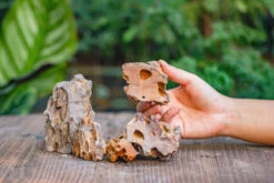 2-6" / 5-15cm Cutted Flat Bottom Natural Ohko Dragon Stone Rock For Terrarium, Aquarium Bonsai Landscape, 2kg/4.4lb, With DIY Tools 26 2-6" / 5-15cm Cutted Flat Bottom Natural Ohko Dragon Stone Rock For Terrarium, Aquarium Bonsai Landscape, 2kg/4.4lb, With DIY Tools -Glass Plant Store IMG 6738