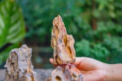 2-6" / 5-15cm Cutted Flat Bottom Natural Ohko Dragon Stone Rock For Terrarium, Aquarium Bonsai Landscape, 2kg/4.4lb, With DIY Tools 24 2-6" / 5-15cm Cutted Flat Bottom Natural Ohko Dragon Stone Rock For Terrarium, Aquarium Bonsai Landscape, 2kg/4.4lb, With DIY Tools -Glass Plant Store IMG 6740