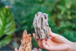 2-6" / 5-15cm Cutted Flat Bottom Natural Ohko Dragon Stone Rock For Terrarium, Aquarium Bonsai Landscape, 2kg/4.4lb, With DIY Tools 28 2-6" / 5-15cm Cutted Flat Bottom Natural Ohko Dragon Stone Rock For Terrarium, Aquarium Bonsai Landscape, 2kg/4.4lb, With DIY Tools -Glass Plant Store IMG 6745