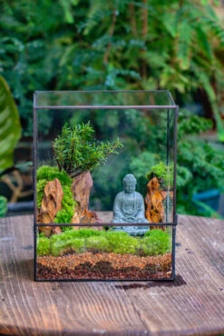 2-6" / 5-15cm Cutted Flat Bottom Natural Ohko Dragon Stone Rock For Terrarium, Aquarium Bonsai Landscape, 2kg/4.4lb, With DIY Tools 33 2-6" / 5-15cm Cutted Flat Bottom Natural Ohko Dragon Stone Rock For Terrarium, Aquarium Bonsai Landscape, 2kg/4.4lb, With DIY Tools -Glass Plant Store IMG 6814