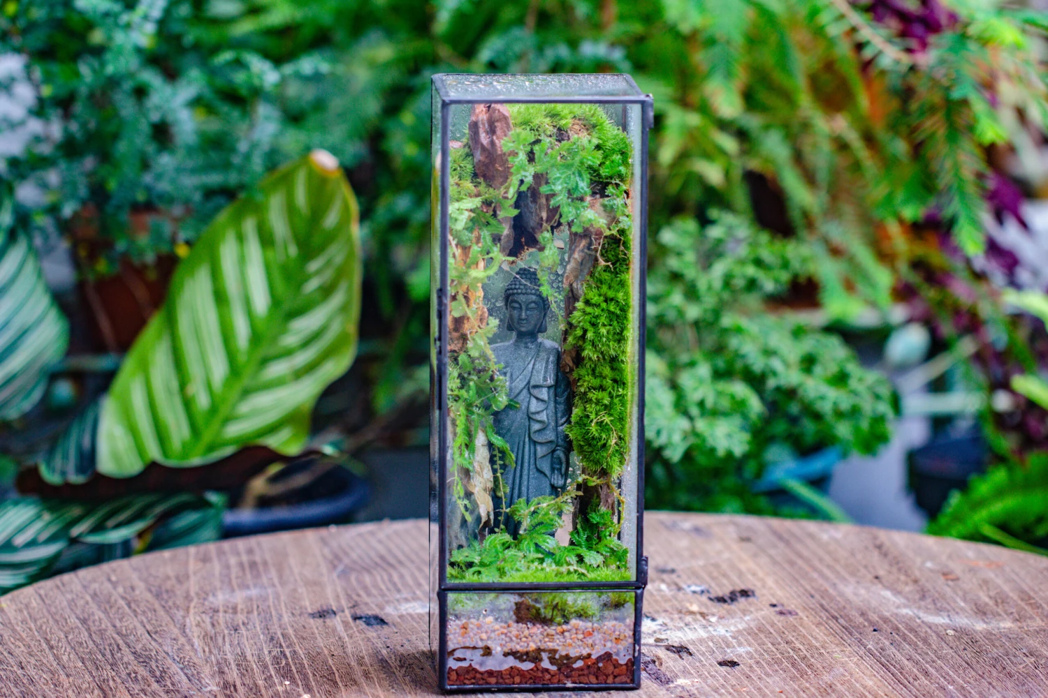 NCYP Close 11.8" Tall Geometric Glass Terrarium With Door Building DIY Set, With Buddha, Dragon Rocks, Planting Materials 5 NCYP Close 11.8" Tall Geometric Glass Terrarium With Door Building DIY Set, With Buddha, Dragon Rocks, Planting Materials - Image 5