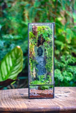 NCYP Close 11.8" Tall Geometric Glass Terrarium With Door Building DIY Set, With Buddha, Dragon Rocks, Planting Materials 23 NCYP Close 11.8" Tall Geometric Glass Terrarium With Door Building DIY Set, With Buddha, Dragon Rocks, Planting Materials -Glass Plant Store IMG 6906