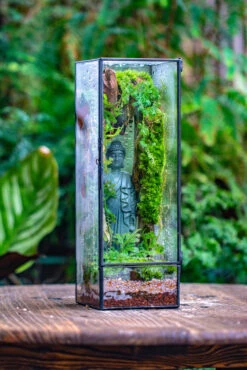 NCYP Close 11.8" Tall Geometric Glass Terrarium With Door Building DIY Set, With Buddha, Dragon Rocks, Planting Materials 29 NCYP Close 11.8" Tall Geometric Glass Terrarium With Door Building DIY Set, With Buddha, Dragon Rocks, Planting Materials -Glass Plant Store IMG 6910