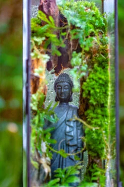 NCYP Close 11.8" Tall Geometric Glass Terrarium With Door Building DIY Set, With Buddha, Dragon Rocks, Planting Materials 32 NCYP Close 11.8" Tall Geometric Glass Terrarium With Door Building DIY Set, With Buddha, Dragon Rocks, Planting Materials -Glass Plant Store IMG 6915