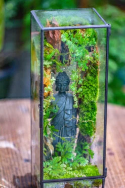 NCYP Close 11.8" Tall Geometric Glass Terrarium With Door Building DIY Set, With Buddha, Dragon Rocks, Planting Materials 22 NCYP Close 11.8" Tall Geometric Glass Terrarium With Door Building DIY Set, With Buddha, Dragon Rocks, Planting Materials -Glass Plant Store IMG 6916