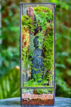 NCYP Close 11.8" Tall Geometric Glass Terrarium With Door Building DIY Set, With Buddha, Dragon Rocks, Planting Materials 33 NCYP Close 11.8" Tall Geometric Glass Terrarium With Door Building DIY Set, With Buddha, Dragon Rocks, Planting Materials -Glass Plant Store IMG 6919