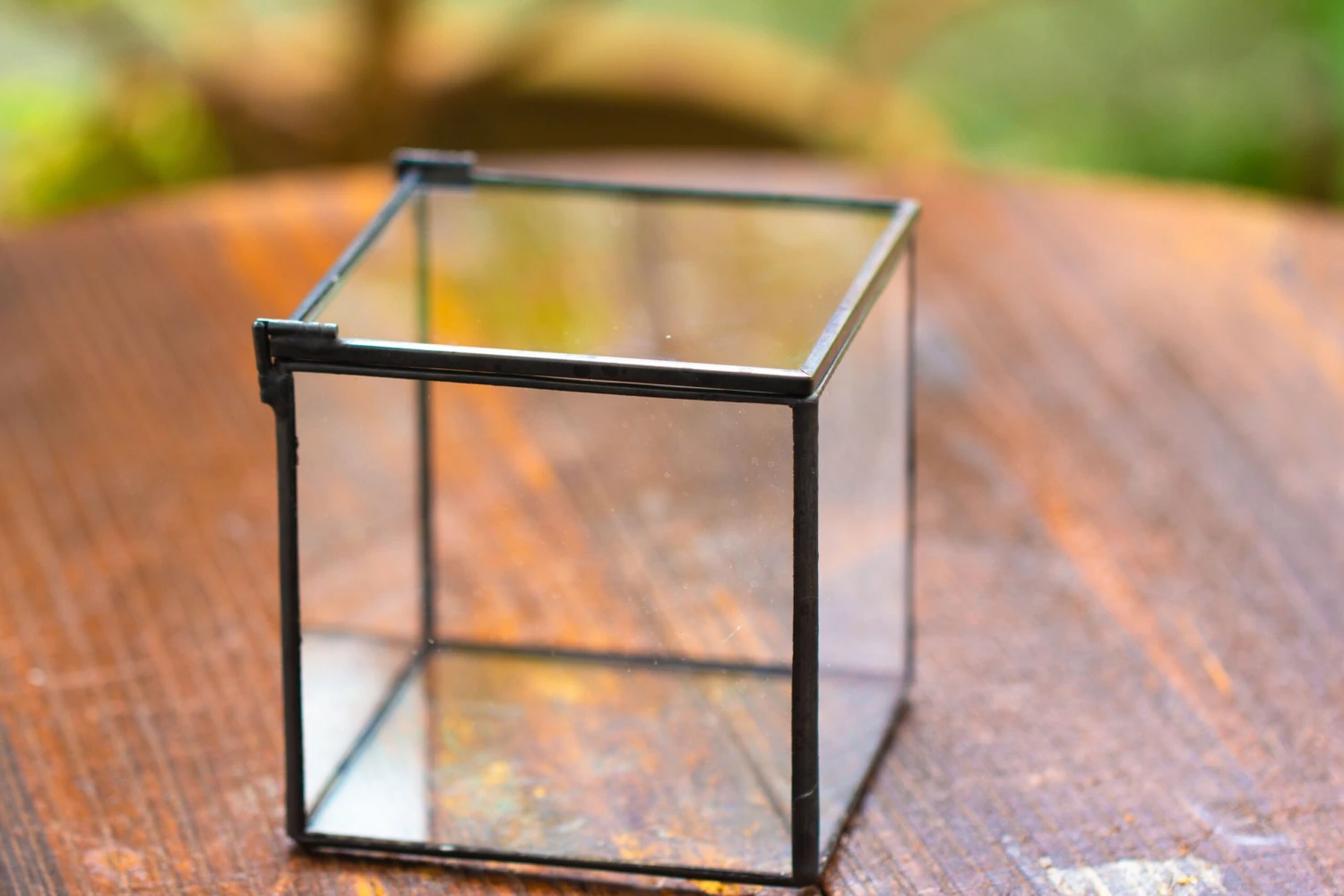 Cube Mini 4 Inches Moss Geometric Glass Terrarium DIY Set 17 Cube Mini 4 Inches Moss Geometric Glass Terrarium DIY Set - Image 17
