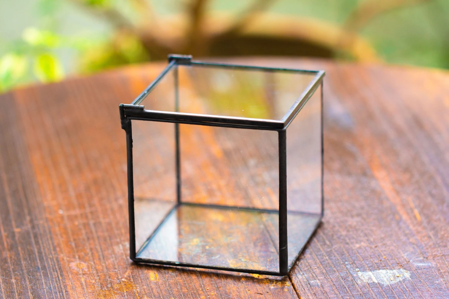 Cube Mini 4 Inches Moss Geometric Glass Terrarium DIY Set 19 Cube Mini 4 Inches Moss Geometric Glass Terrarium DIY Set - Image 19