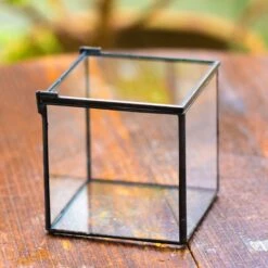 Cube Mini 4 Inches Moss Geometric Glass Terrarium DIY Set 27 Cube Mini 4 Inches Moss Geometric Glass Terrarium DIY Set -Glass Plant Store IMG 6950 1 2