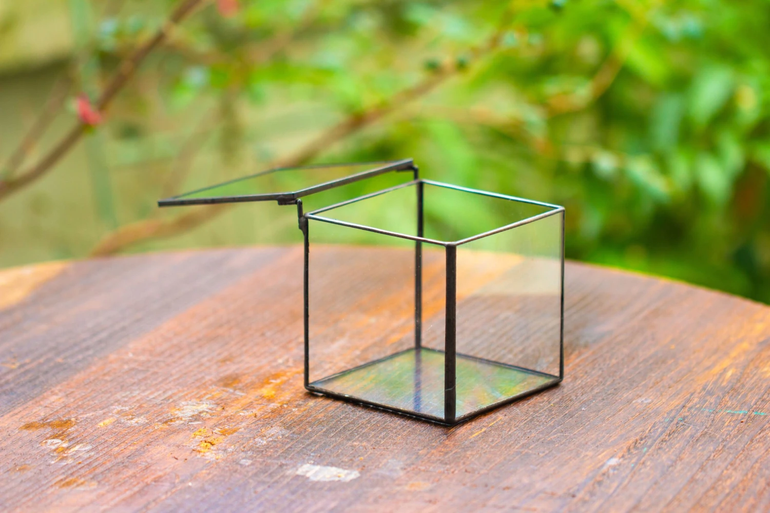 Cube Mini 4 Inches Moss Geometric Glass Terrarium DIY Set 16 Cube Mini 4 Inches Moss Geometric Glass Terrarium DIY Set - Image 16