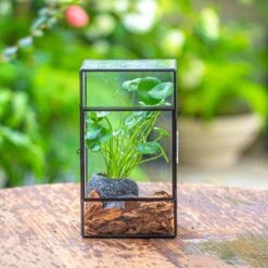 NCYP Rectangle Tin And Glass Geometric Terrarium, With Side Door, With Mesh / Vent Holes For Small Insects Pet