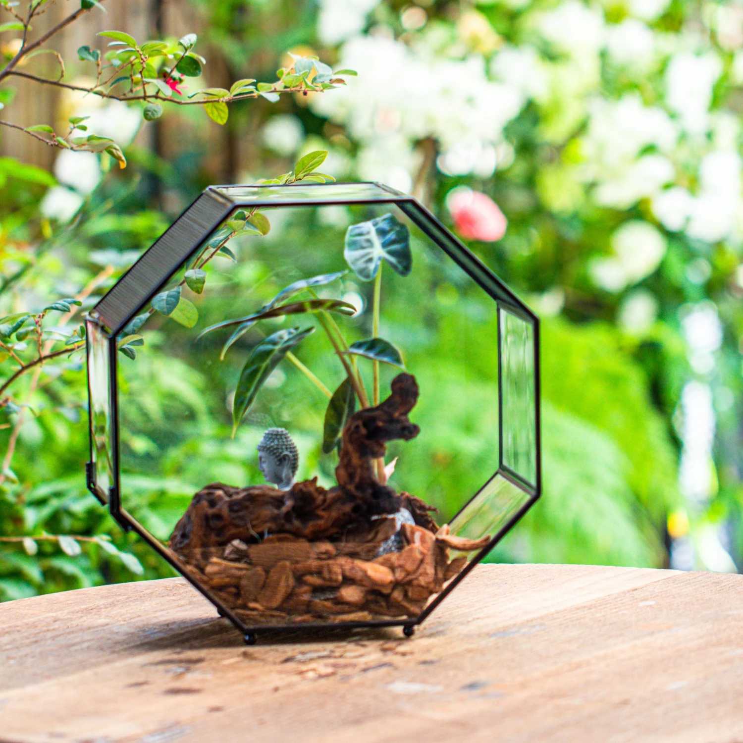 Handmade Octagon Glass Geometric Terrarium With Side Vent, Spider Terrarium, Jumping Spider/Snail Terrarium, Jumping Spider Enclosure 12 Handmade Octagon Glass Geometric Terrarium With Side Vent, Spider Terrarium, Jumping Spider/Snail Terrarium, Jumping Spider Enclosure - Image 12