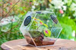 Handmade Extra Large Acrylic Hexagon Watertight Enclosure Terrarium With Mesh Vents, Feed Hole For Insects, Vivarium, Enclosure Only -Glass Plant Store IMG 7006 63d8c10d ffa4 4b8c 850c f29eedf8ee2e