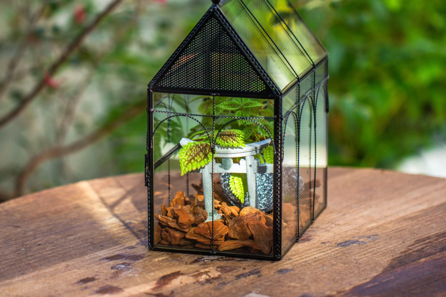 NCYP Vintage House Shape Glass Geometric Terrarium, With Side Door, With Mesh Vent Holes For Small Insects Pet 19 NCYP Vintage House Shape Glass Geometric Terrarium, With Side Door, With Mesh Vent Holes For Small Insects Pet - Image 19