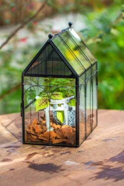 NCYP Vintage House Shape Glass Geometric Terrarium, With Side Door, With Mesh Vent Holes For Small Insects Pet 28 NCYP Vintage House Shape Glass Geometric Terrarium, With Side Door, With Mesh Vent Holes For Small Insects Pet -Glass Plant Store IMG 7011