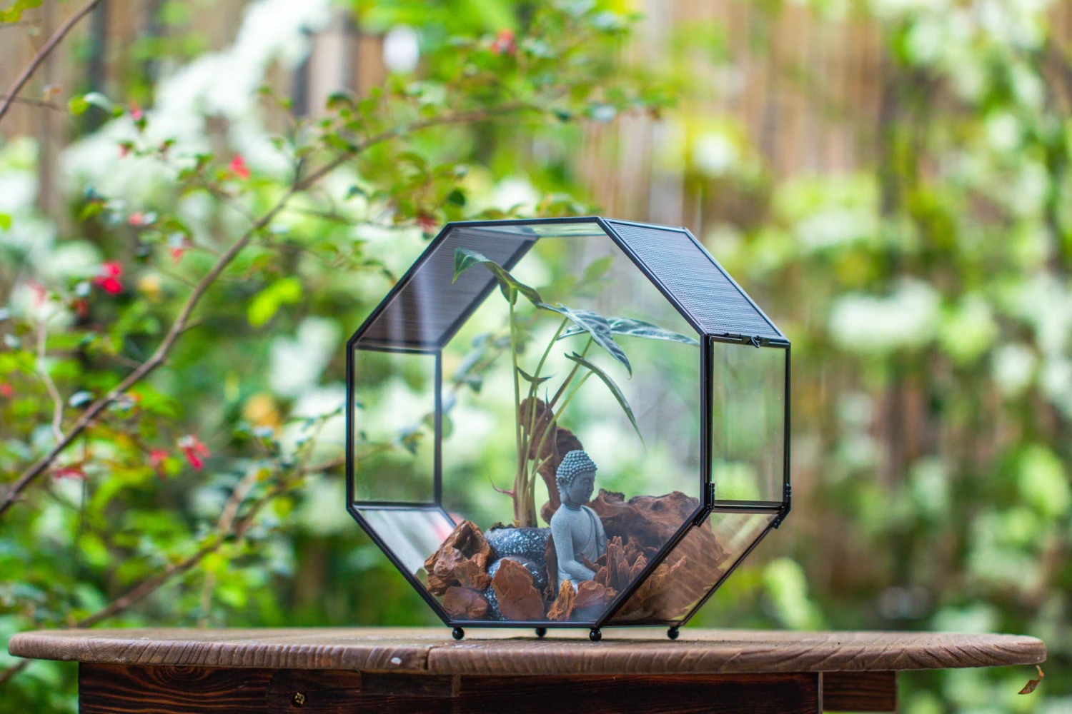 Handmade Octagon Glass Geometric Terrarium With Side Vent, Spider Terrarium, Jumping Spider/Snail Terrarium, Jumping Spider Enclosure 15 Handmade Octagon Glass Geometric Terrarium With Side Vent, Spider Terrarium, Jumping Spider/Snail Terrarium, Jumping Spider Enclosure - Image 15