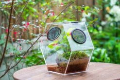 Handmade Extra Large Acrylic Hexagon Watertight Enclosure Terrarium With Mesh Vents, Feed Hole For Insects, Vivarium, Enclosure Only -Glass Plant Store IMG 7064