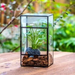 NCYP Rectangle Tin And Glass Geometric Terrarium, With Side Door, With Mesh / Vent Holes For Small Insects Pet 33 NCYP Rectangle Tin And Glass Geometric Terrarium, With Side Door, With Mesh / Vent Holes For Small Insects Pet -Glass Plant Store IMG 7097 2