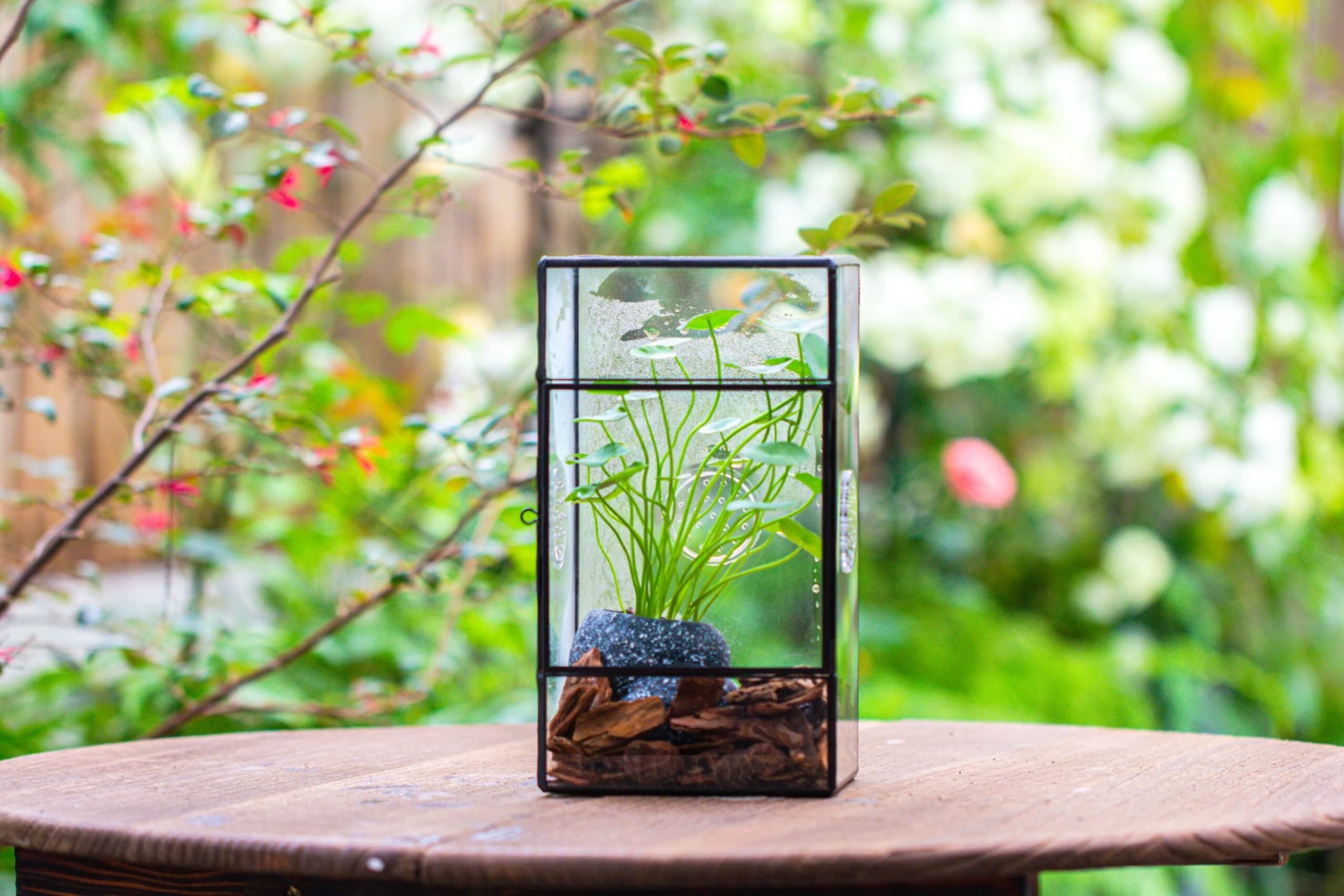 NCYP Rectangle Tin And Glass Geometric Terrarium, With Side Door, With Mesh / Vent Holes For Small Insects Pet 17 NCYP Rectangle Tin And Glass Geometric Terrarium, With Side Door, With Mesh / Vent Holes For Small Insects Pet - Image 17