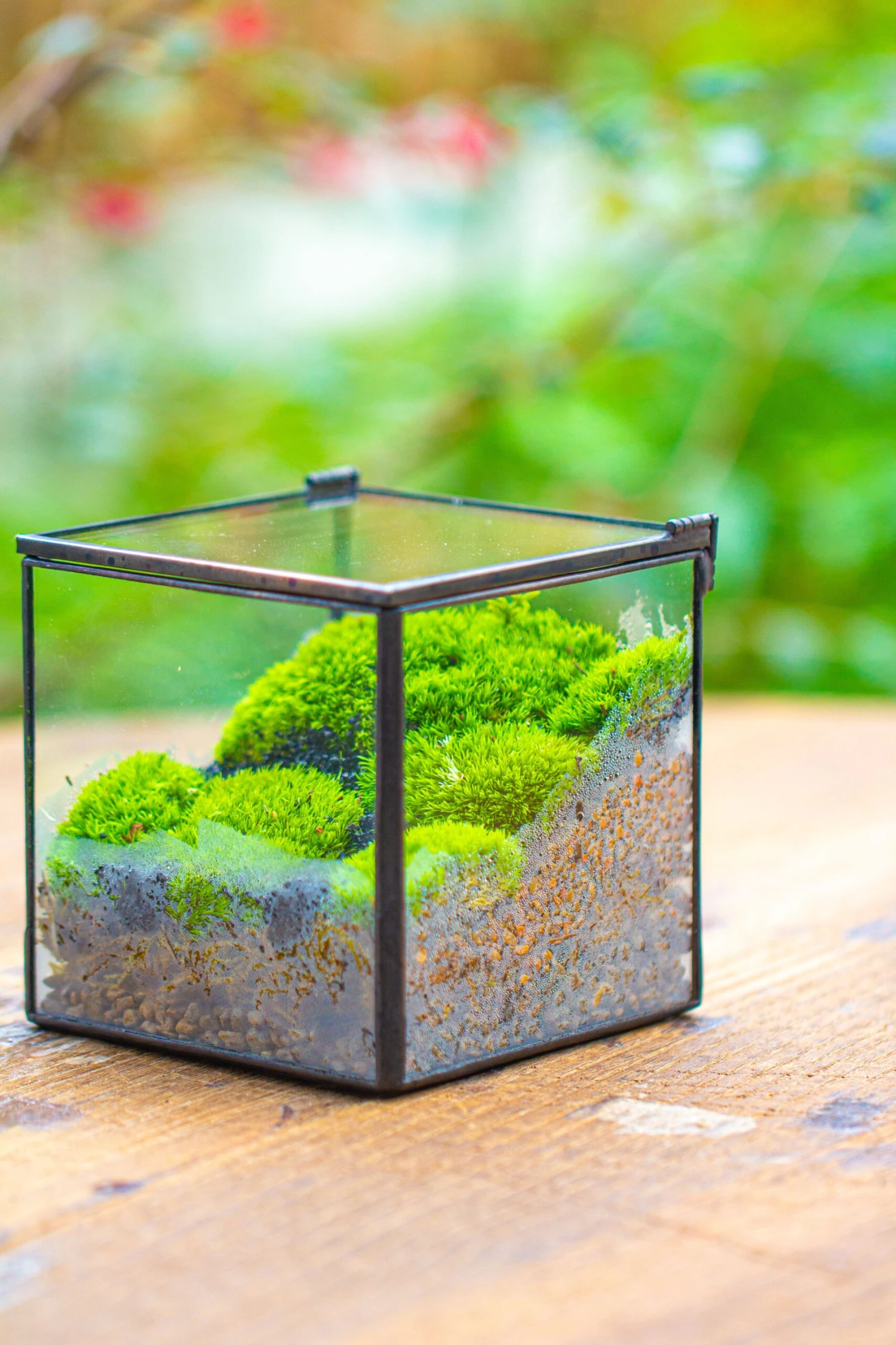 Handmade Cube Mini 4 Inches Close Geometric Glass Tin Terrarium, Greenhouse Planter For Moss, Christmas Gift, Terrarium Only 12 Handmade Cube Mini 4 Inches Close Geometric Glass Tin Terrarium, Greenhouse Planter For Moss, Christmas Gift, Terrarium Only - Image 12