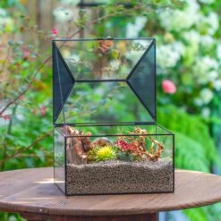 Handmade Medium House Shape Terrarium Enclosure With Mesh Vent For Insects, Terrarium Only -Glass Plant Store IMG 7181 2