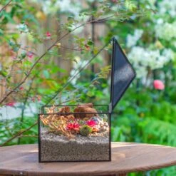 Handmade Medium House Shape Terrarium Enclosure With Mesh Vent For Insects, Terrarium Only -Glass Plant Store IMG 7184 2