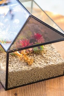 Handmade Medium House Shape Terrarium Enclosure With Mesh Vent For Insects, Terrarium Only -Glass Plant Store IMG 7186